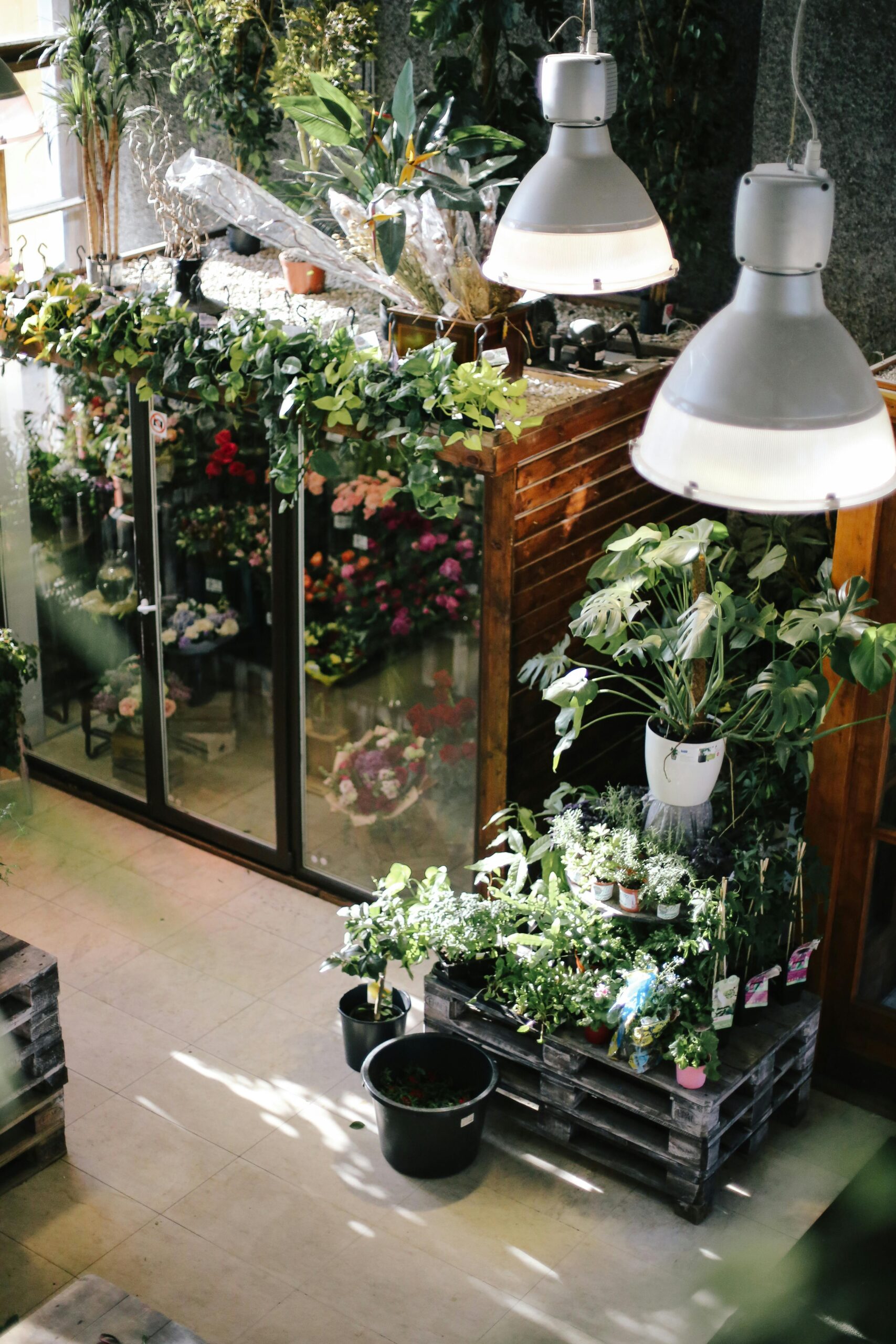 A beautifully arranged indoor plant nursery showcasing a variety of lush greenery and flowers under soft lighting.